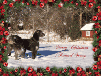 God Jul & God Fortsättning!