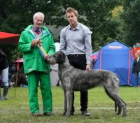 Utställning Högbo 2012