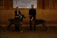 BIR & BIM i Vallentuna 2014