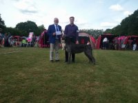 Ny Dansk Champion